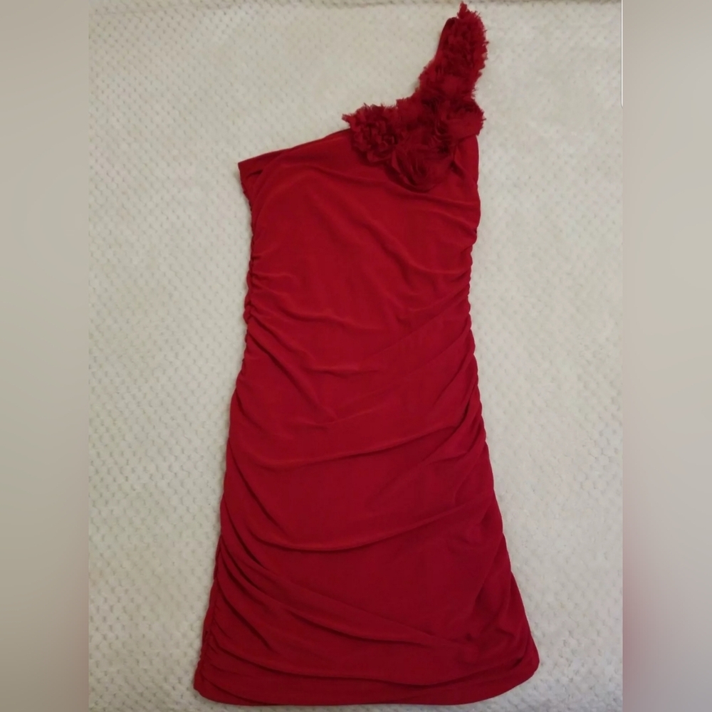 Body Central Womens "Rose" Dress size Medium